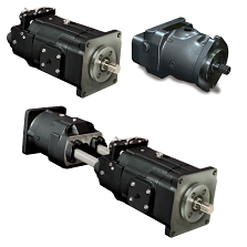 Насосы и моторы Denison GOLD CUP